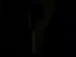 Visceratio-գրավիչ նե ...